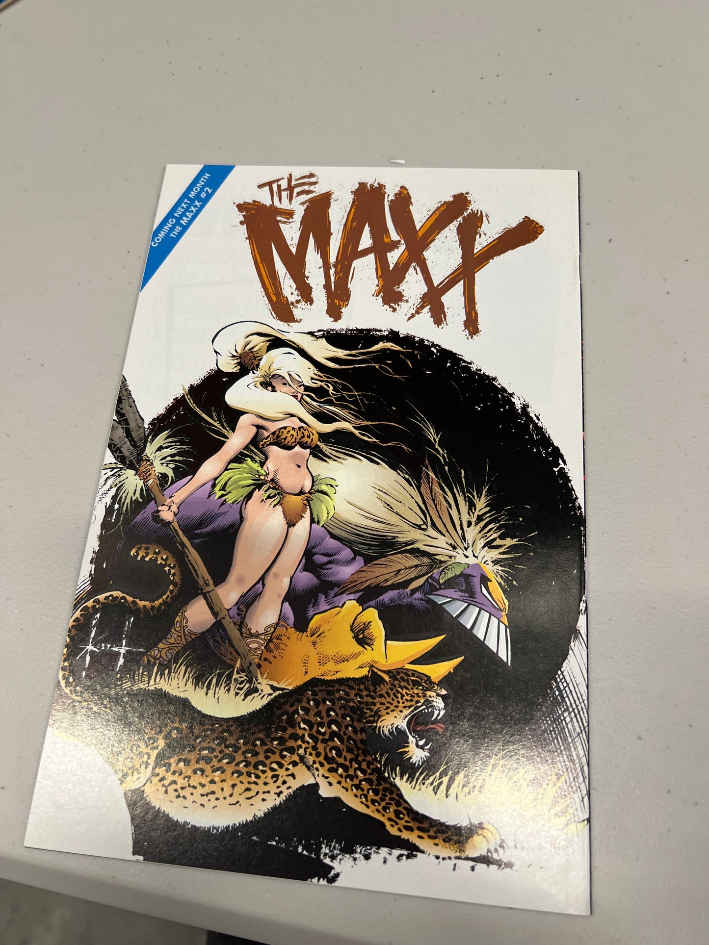 The maxx #1